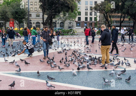 Jeune homme rue d'alimentation les pigeons (Columba livia domestica) sur la Plaça de Catalunya, Barcelone, Catalogne, Espagne. Banque D'Images