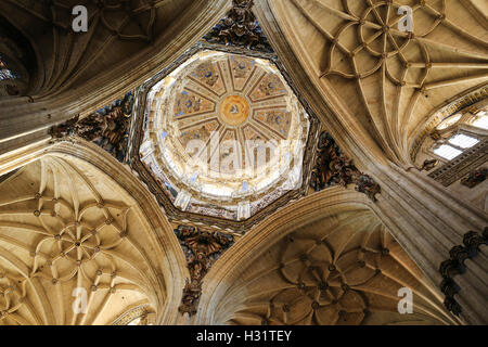 Passage à niveau, la sortie des quatre branches de l'(cruciforme) en forme de croix dans la nouvelle cathédrale de Salamanque, Espagne. Banque D'Images