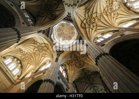 Passage à niveau, la sortie des quatre branches de l'(cruciforme) en forme de croix dans la nouvelle cathédrale de Salamanque, Espagne. Banque D'Images