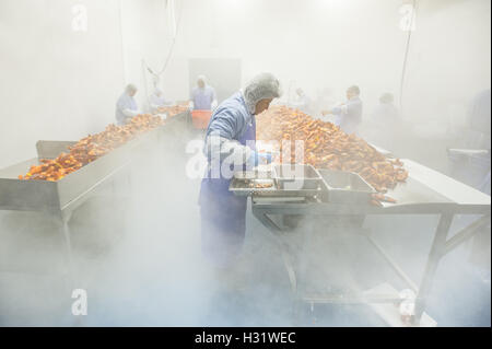 Processus de préparation du homard au SACO, Maine Banque D'Images