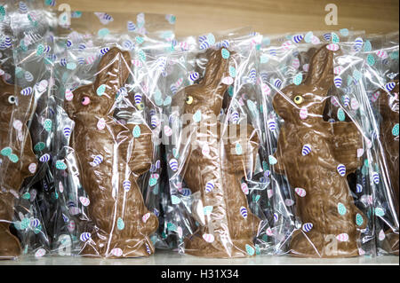 Lapins de Pâques au chocolat Banque D'Images