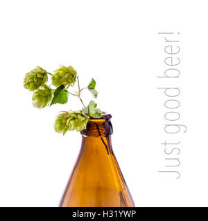 Bouteille de bière avec hop direction générale, isolated on white Banque D'Images