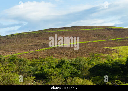 Paysage de colline paysage agricole du sol de la terre labourée Banque D'Images