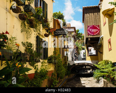 Façades vert au-dessus de la rivière vide Ribeiro da Nora à Funchal sur l'île portugaise de Madère. Banque D'Images