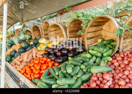 Fruits et légumes du marché foncier o lacs, la Floride est juste un éventaire. Banque D'Images