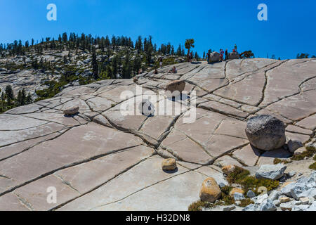 Les glaciers fissurés, granite lissés avec erratiques glaciaires à Olmsted Point, Yosemite National Park, California, USA Banque D'Images