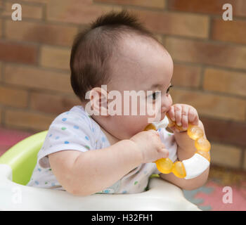 Bébé jouant avec chew toy Banque D'Images