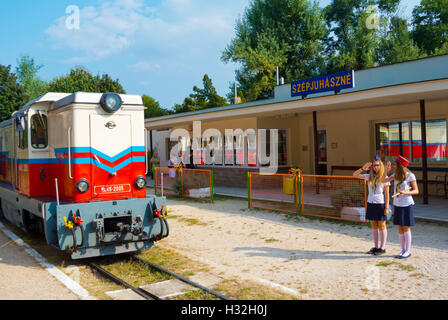 Gyermekvasut, chemin de fer pour enfants, Buda, Budapest, Hongrie, Europe Banque D'Images