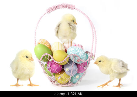 Maison de vacances Droit à thème avec des poussins et des Œufs Banque D'Images