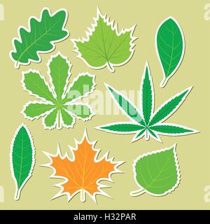 Les feuilles des plantes différentes Illustration de Vecteur