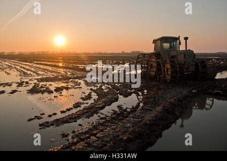 Vieux tracteur avec roues de charrue dans un champ de riz inondé au coucher du soleil. Boue dans le champ avec chenilles dans l'eau. Le soleil approche de l'horizon Banque D'Images