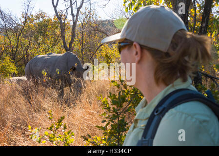 Rhodes Matopos Parc National Afrique Zimbabwe Banque D'Images