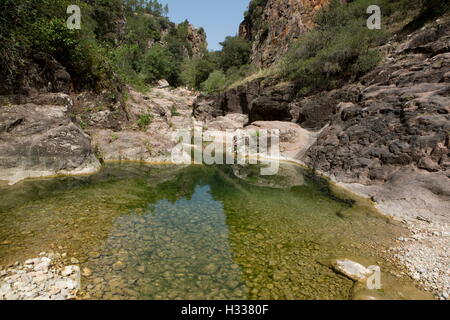 Les Gorges de Pennafort, Gorges de Pennafort, Var, Provence-Alpes-Côte d'Azur, France Banque D'Images