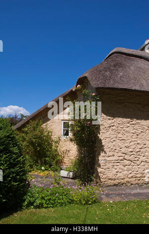 Toit de chaume traditionnel cottage dans Merthyr Mawr, Pays de Galles, Royaume-Uni, Europe Banque D'Images