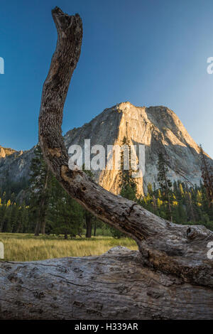 La dernière capture des pics de lumière au coucher du soleil dans la vallée Yosemite, Yosemite National Park, California, USA Banque D'Images