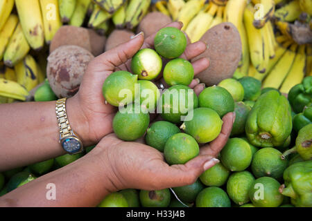 Deux mains tenant un panier au-dessus de vert limes limes et les bananes sur à La Habana Cuba Banque D'Images
