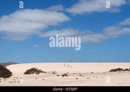 Fuerteventura, Îles Canaries, Afrique du Nord, Espagne : Paysage de désert et les dunes de sable du parc naturel de Corralejo Banque D'Images