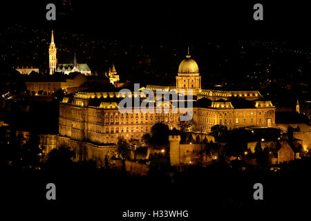 Matthiaskirche Fischerbastei, mit Panoramablick und auf dem Burgpalast Burghuegel Buda von bei nacht, Budapest, Mittelungarn, Ungarn Banque D'Images