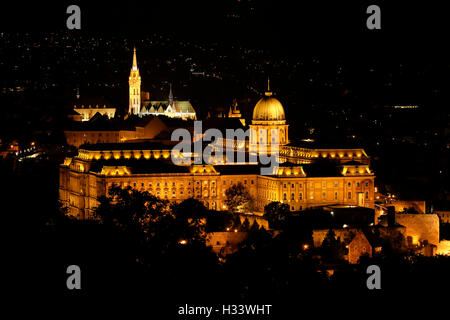 Matthiaskirche Fischerbastei, mit Panoramablick und auf dem Burgpalast Burghuegel Buda von bei nacht, Budapest, Mittelungarn, Ungarn Banque D'Images