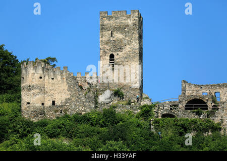 Ruine Hinterhaus auf dem Jauerling, Burgruine dans Spitz an der Donau, Niederoesterreich, Oesterreich Banque D'Images