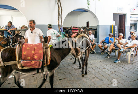 Les hommes d'ânesse Lindos Rhodes Grèce Banque D'Images