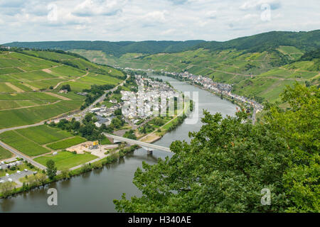 Zeller Hamm, de la Moselle, Zell, Rhénanie-Palatinat, Allemagne Banque D'Images