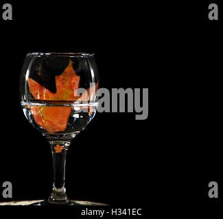 Feuille d'érable de l'automne avec du vin blanc dans des verres sur noir Banque D'Images