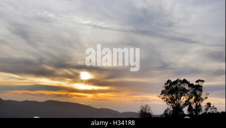 Coucher du soleil de l'océan Pacifique, une crête, et la silhouette des arbres Banque D'Images