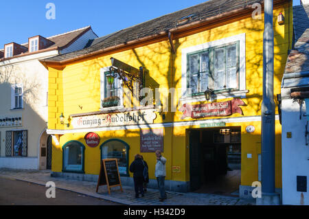 Wien, Vienne : taverne Heuriger ( ) dans la région de Grinzing, 19, Wien, Autriche. Banque D'Images