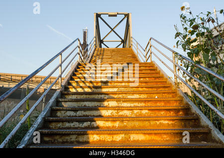 Ancien escalier oublié dans le Queens, New York Banque D'Images