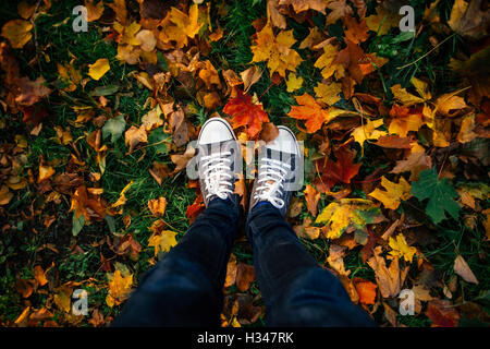 Les jambes en jeans et baskets se tenant sur le sol avec les feuilles d'automne, vue du dessus, point de vue Banque D'Images