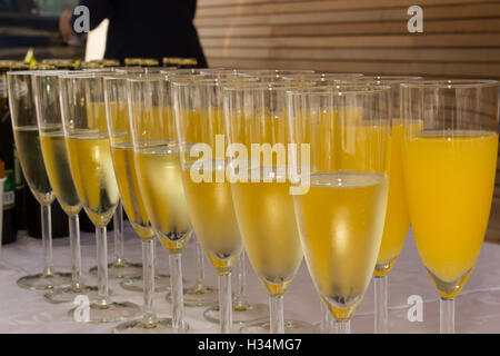 a row of glasses filled with champagne and Orange Juice are lined up ready to be served Banque D'Images