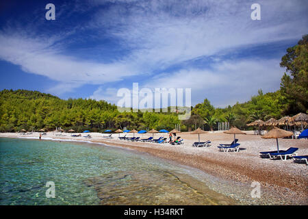 Xylokeriza beach, l'île de Spetses, Attique, Grèce. Banque D'Images