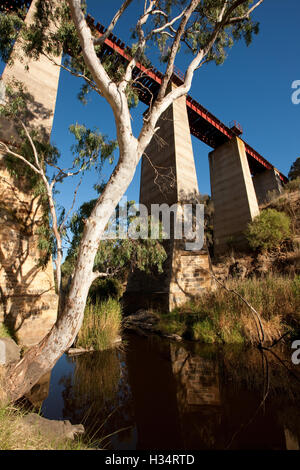 Viaduc Ferroviaire de haut niveau sur Currency Creek près de Goolwa, Australie du Sud. Banque D'Images