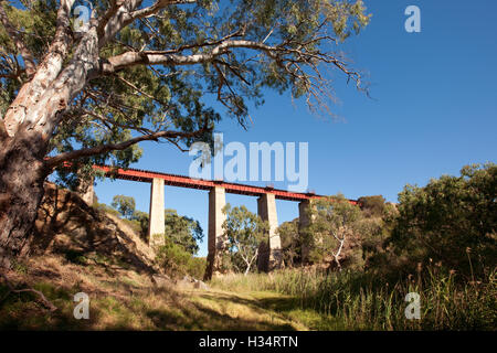 Viaduc Ferroviaire de haut niveau sur Currency Creek près de Goolwa, Australie du Sud. Banque D'Images