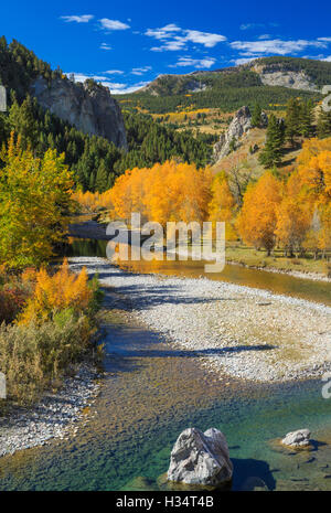 Couleurs d'automne le long de la rivière de Dearborn au-dessous de la rocky mountain/près de augusta, Montana Banque D'Images