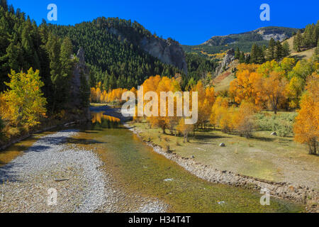 Couleurs d'automne le long de la rivière de Dearborn au-dessous de la rocky mountain/près de augusta, Montana Banque D'Images