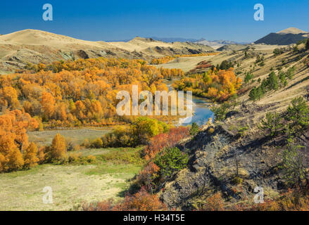 Couleurs d'automne le long de la rivière de Dearborn au-dessous de la rocky mountain/près de augusta, Montana Banque D'Images