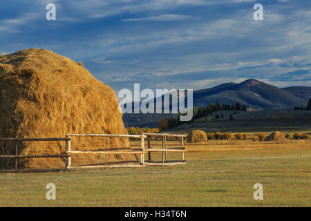 Haystacks ci-dessous montagne noire sur la ligne continentale de partage près de avon, Montana Banque D'Images