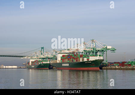 Evergreen (jamais la balance et toujours fort) porte-conteneurs dans le Port de Los Angeles. Banque D'Images