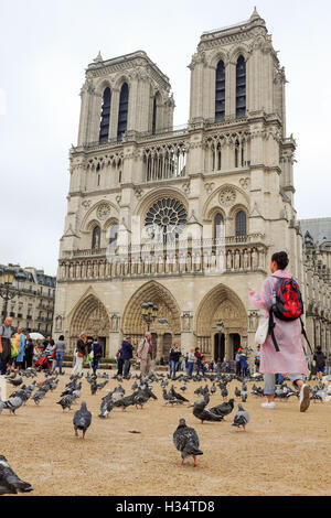 La façade occidentale de Notre-Dame de Paris. Banque D'Images