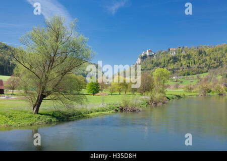 Schloss Werenwag, Hausen an der Donau, vallée du Danube, le Parc Naturel du Danube supérieur, Jura souabe, Baden-Wurttemberg, Allemagne Banque D'Images