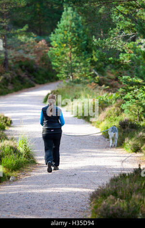 Balades autour de walker femelle sur le chemin que les cercles Loch an Eilein, Rothiemurchus Forest, Rothiemurchus, Highlands, Scotland, UK Banque D'Images