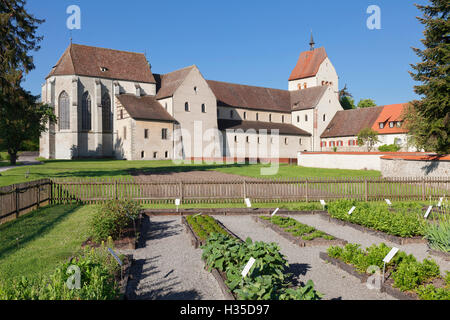 Herb garden, St Maria und Markus Cathédrale, Mittelzell, l'UNESCO, l'île de Reichenau, Lac de Constance, Baden-Wurttemberg, Allemagne Banque D'Images