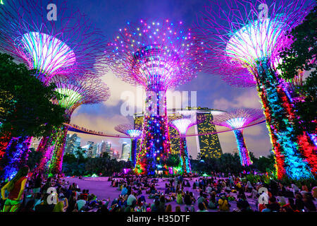 Supertree Grove dans les jardins, près de la baie, un jardin botanique et parc futuriste, illuminé la nuit, Marina Bay, Singapour Banque D'Images