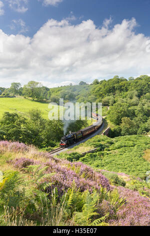 Une locomotive à vapeur carrioles par Darnholme sur le vapeur Yorkshire du Nord Heritage Railway, Yorkshire, Angleterre, Royaume-Uni Banque D'Images