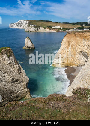 La baie d'eau douce et des falaises de craie de Tennyson, île de Wight, Angleterre, RU Banque D'Images