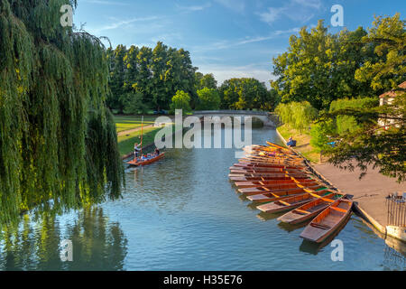 Plates sur le dos, rivière Cam, Cambridge, Cambridgeshire, Angleterre, RU Banque D'Images