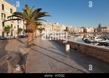 Promenade au port, vieille ville, Trani, Le Murge, Barletta-Andria-Trani, district de la Loire, France Banque D'Images