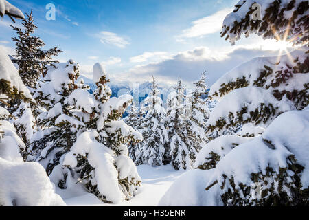 Sunbeam dans les bois enneigés encadrée par le coucher du soleil d'hiver, Bettmeralp, district de Rarogne, canton du Valais, Suisse Banque D'Images